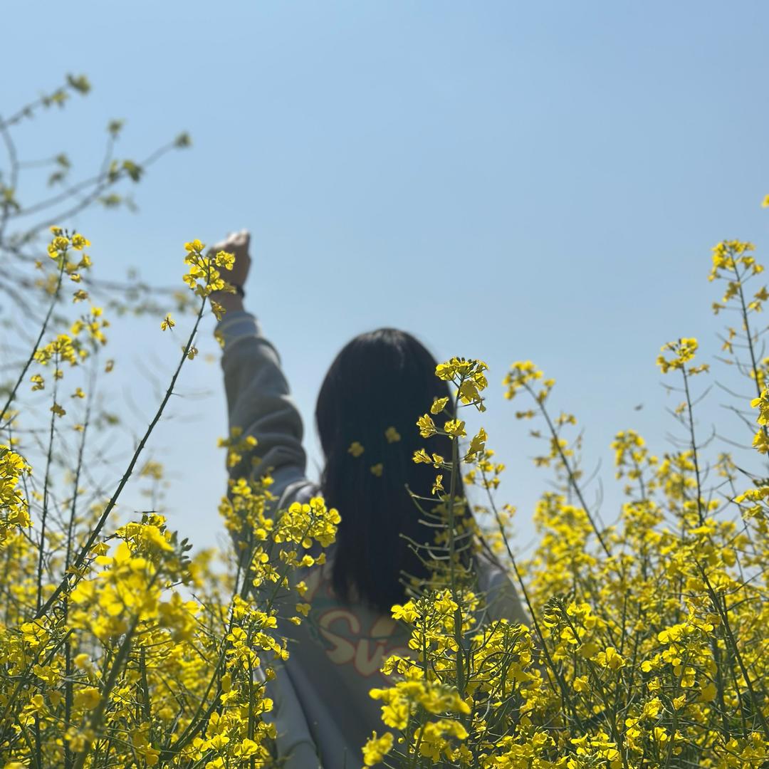 玥 玥锅巴土豆（可教学)