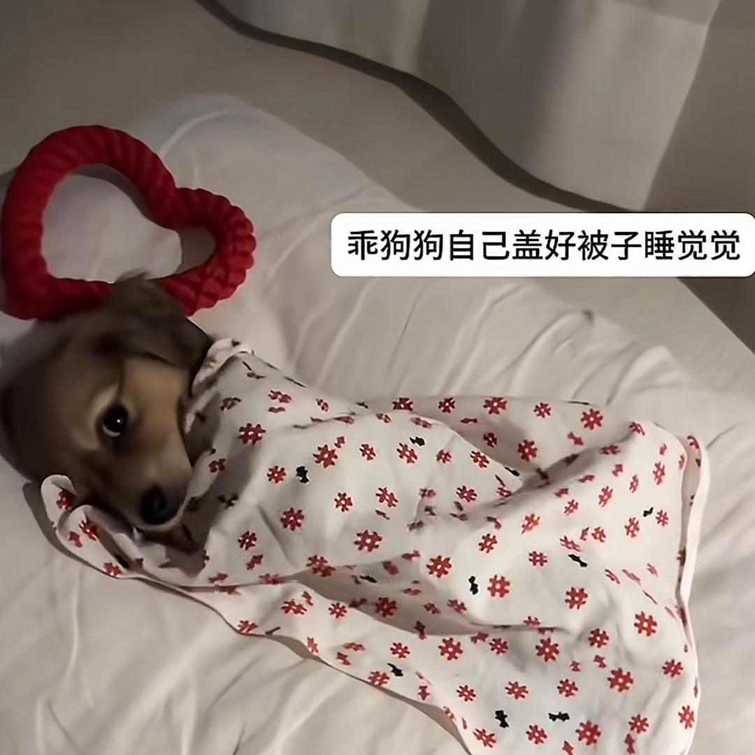往后余生。