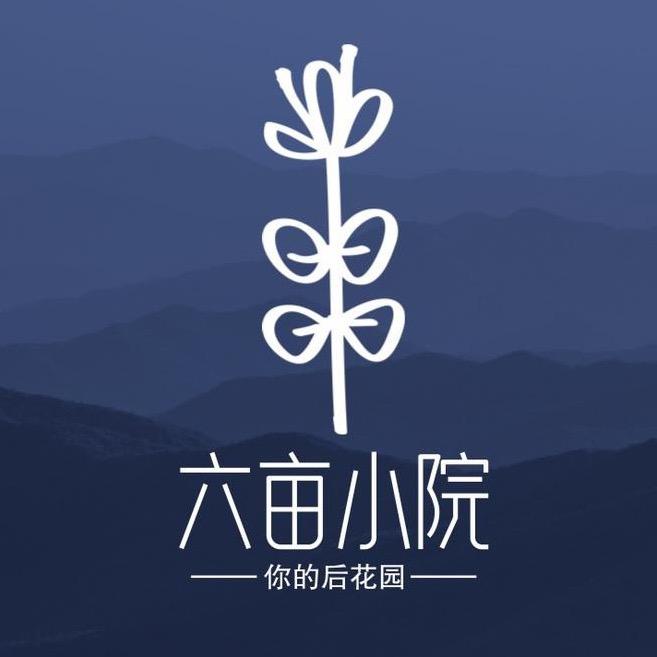 六亩小院-波涛
