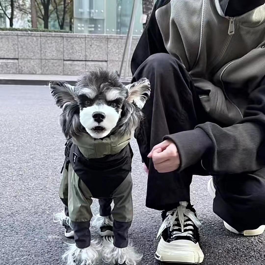 不好骗的抖音用户