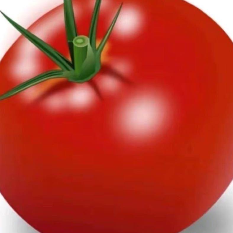 ·Ch🍅_