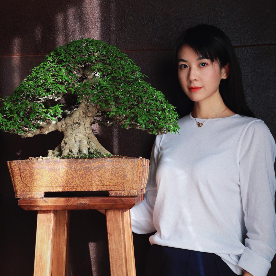 美美文人墅