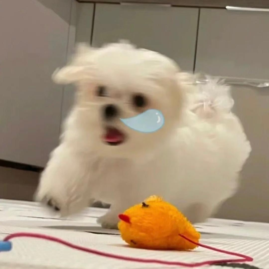 大Lily_