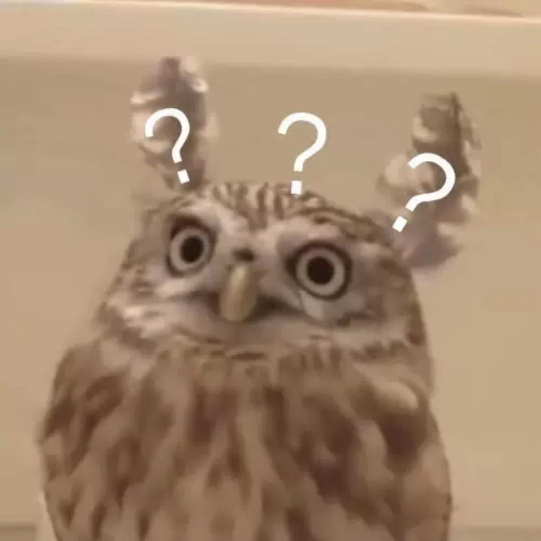 不回