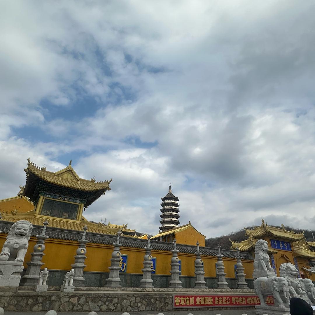 宋你一朵小红花