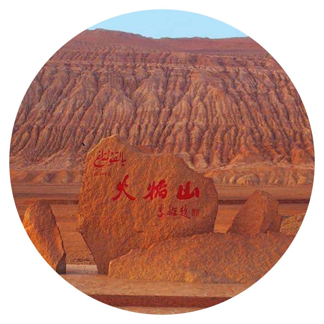 赵家豪
