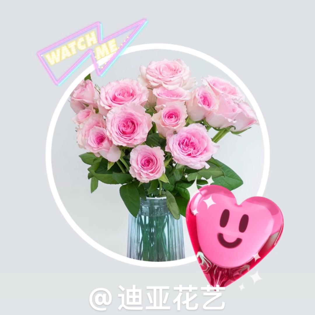 迪亚（关必回）