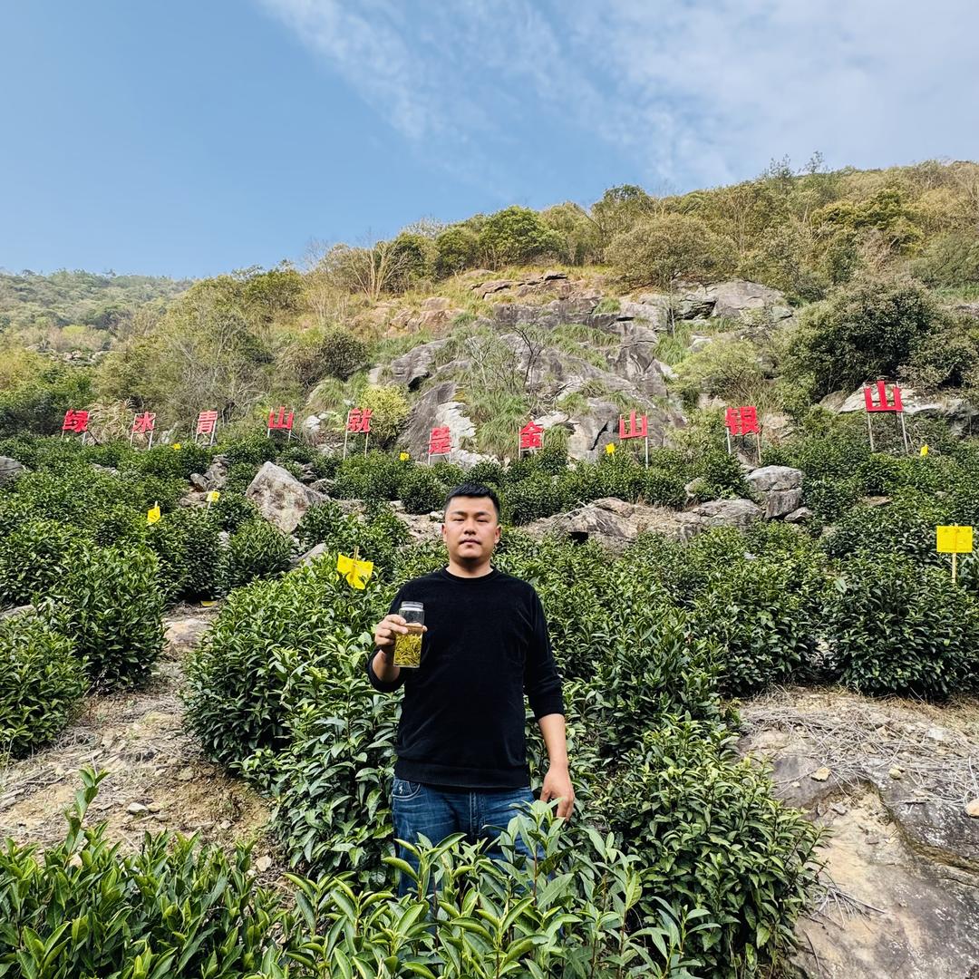 爱民提魁茶叶