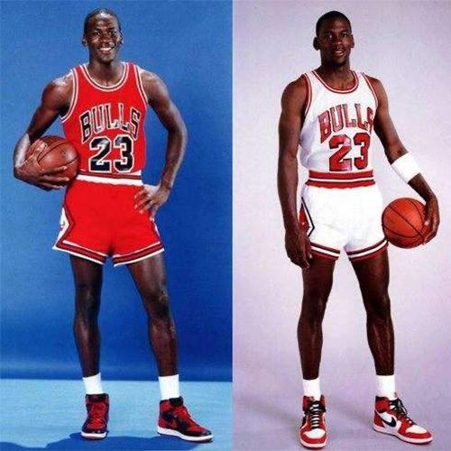 自由飞翔的鸟儿