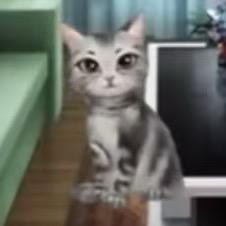 ꧁芒果榴莲炒鸡米꧂（懒蛋版）