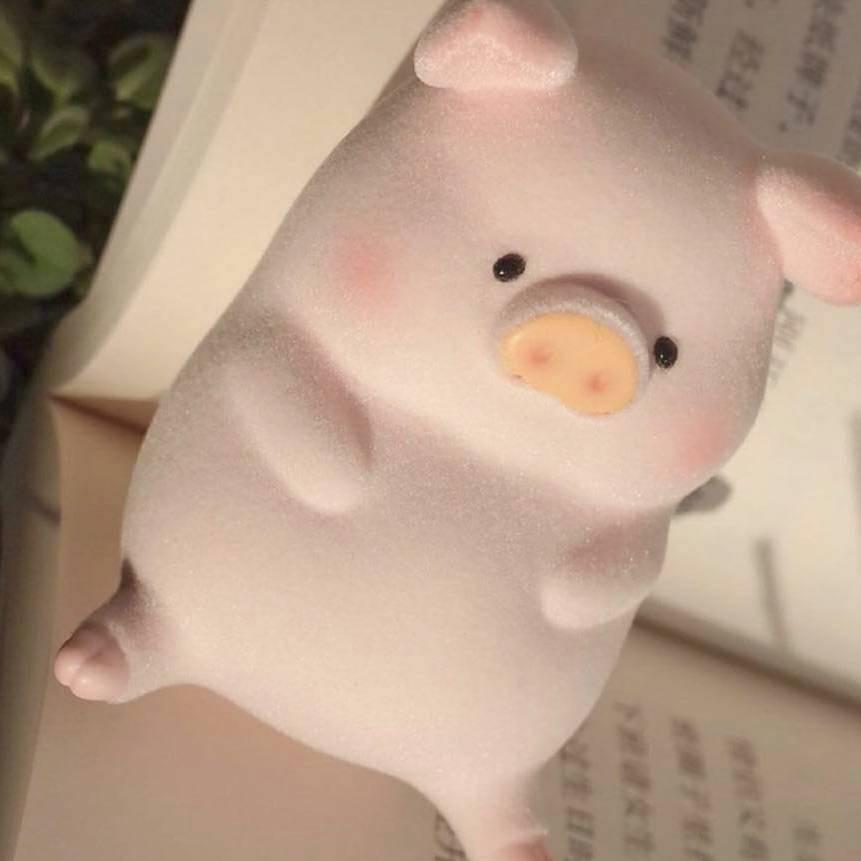 泽℡