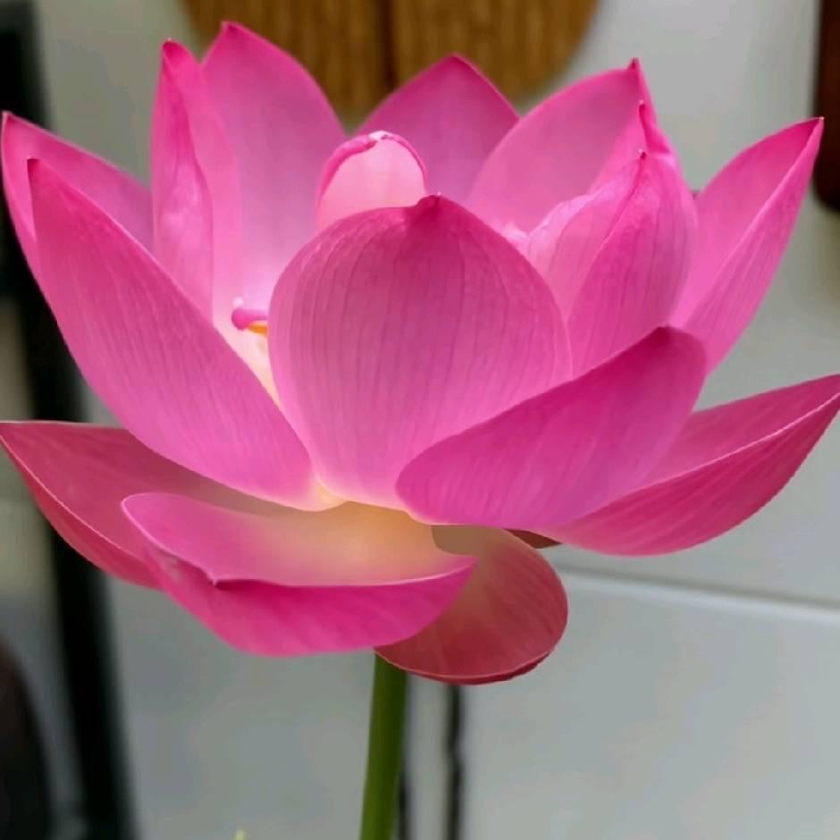 念你的时光