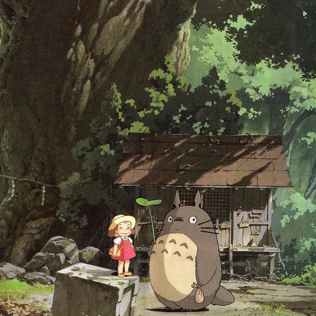 树屋先生🌲