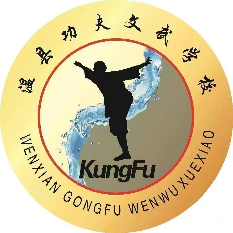 河南功夫文武冯教练