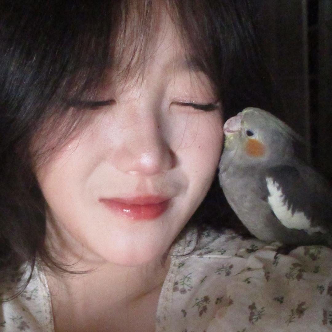 和黑芝麻糊