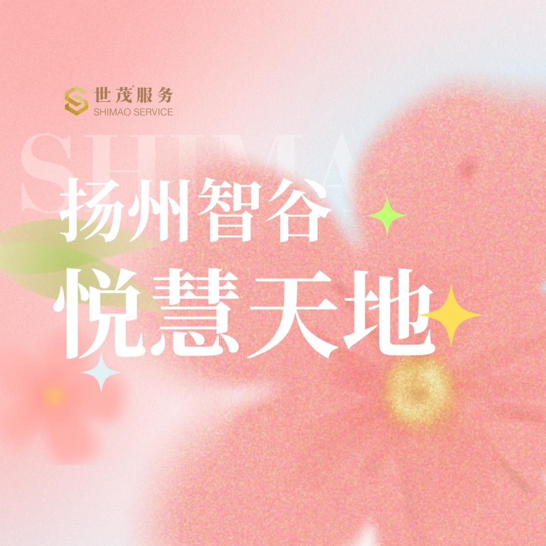 扬州智谷悦慧天地商业街