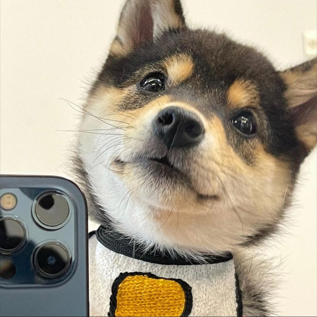 荣荣荣iiii