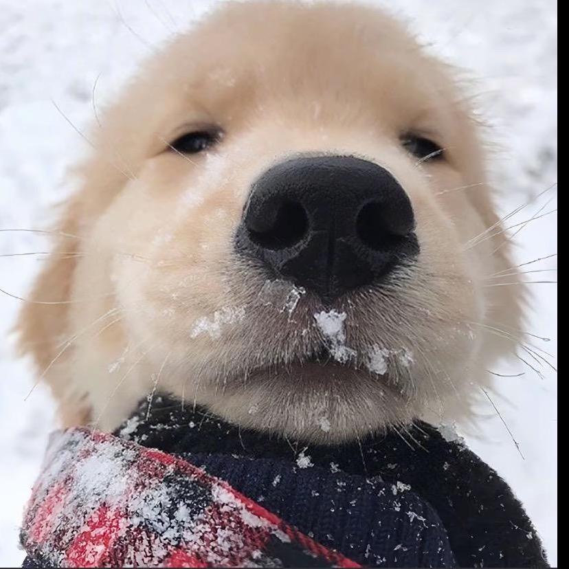 ooooo