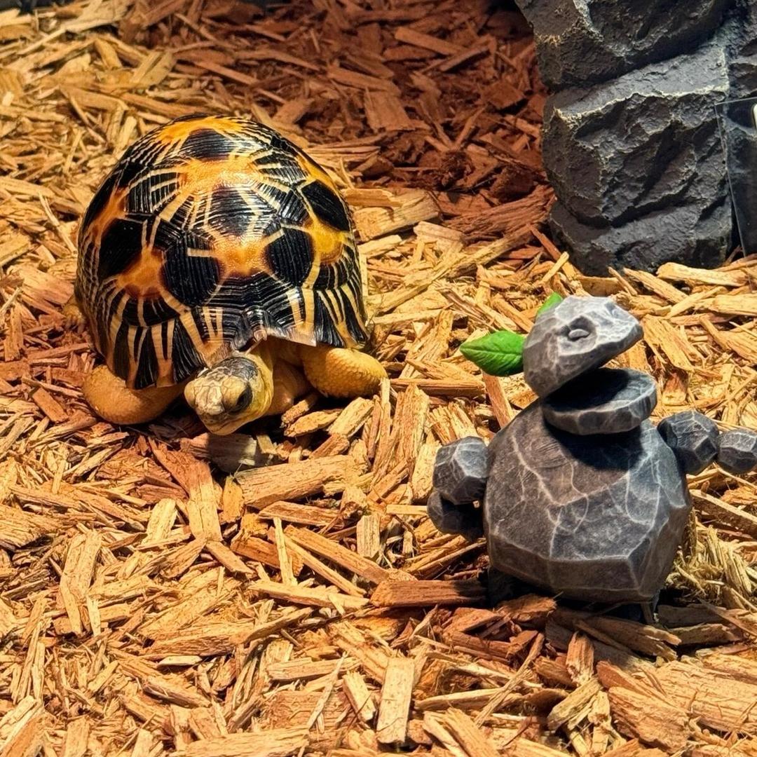 文胜宠物馆