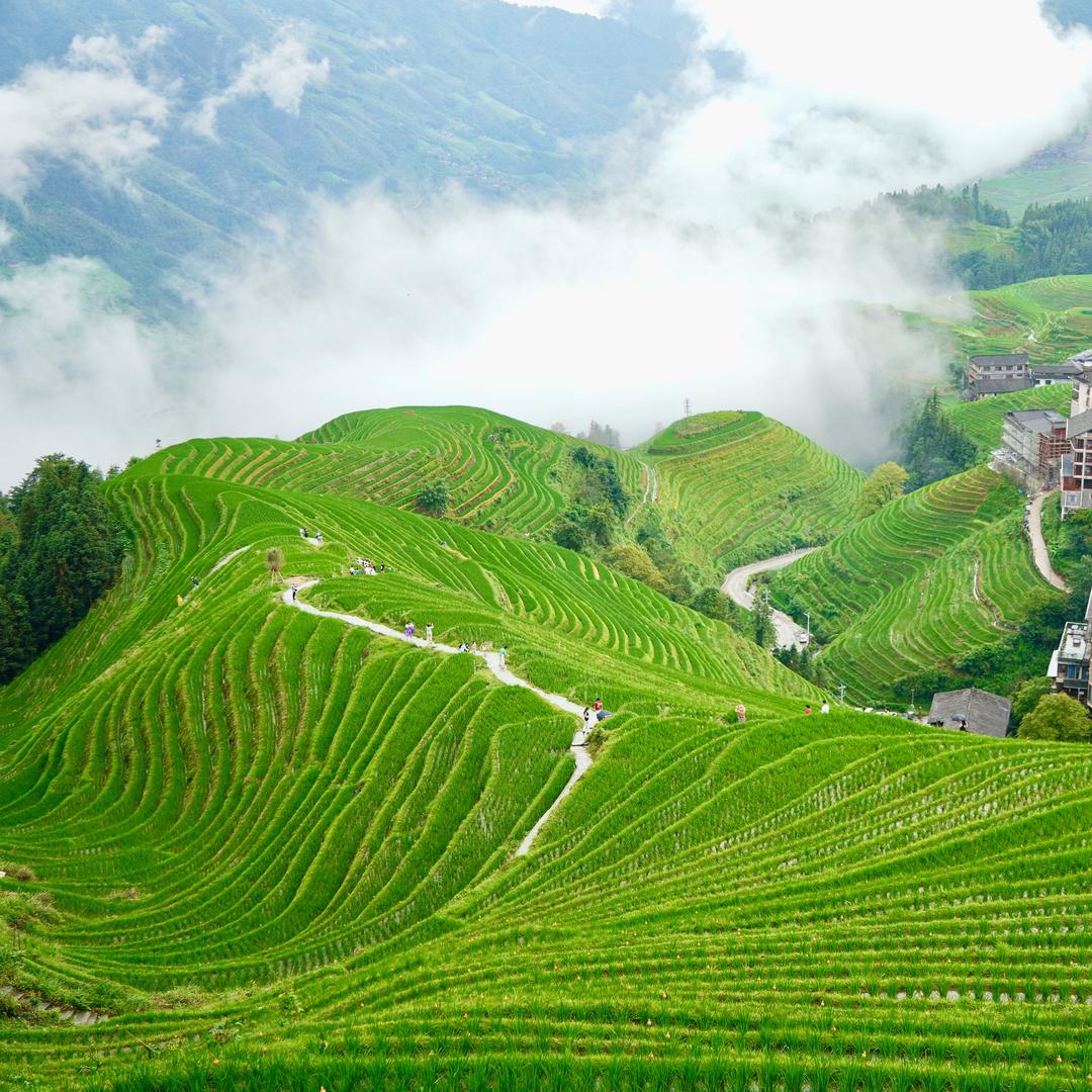 龙脊梯田风景名胜区