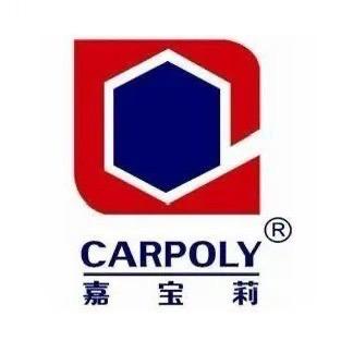 东莞樟木头嘉宝莉艺术涂料王小姐