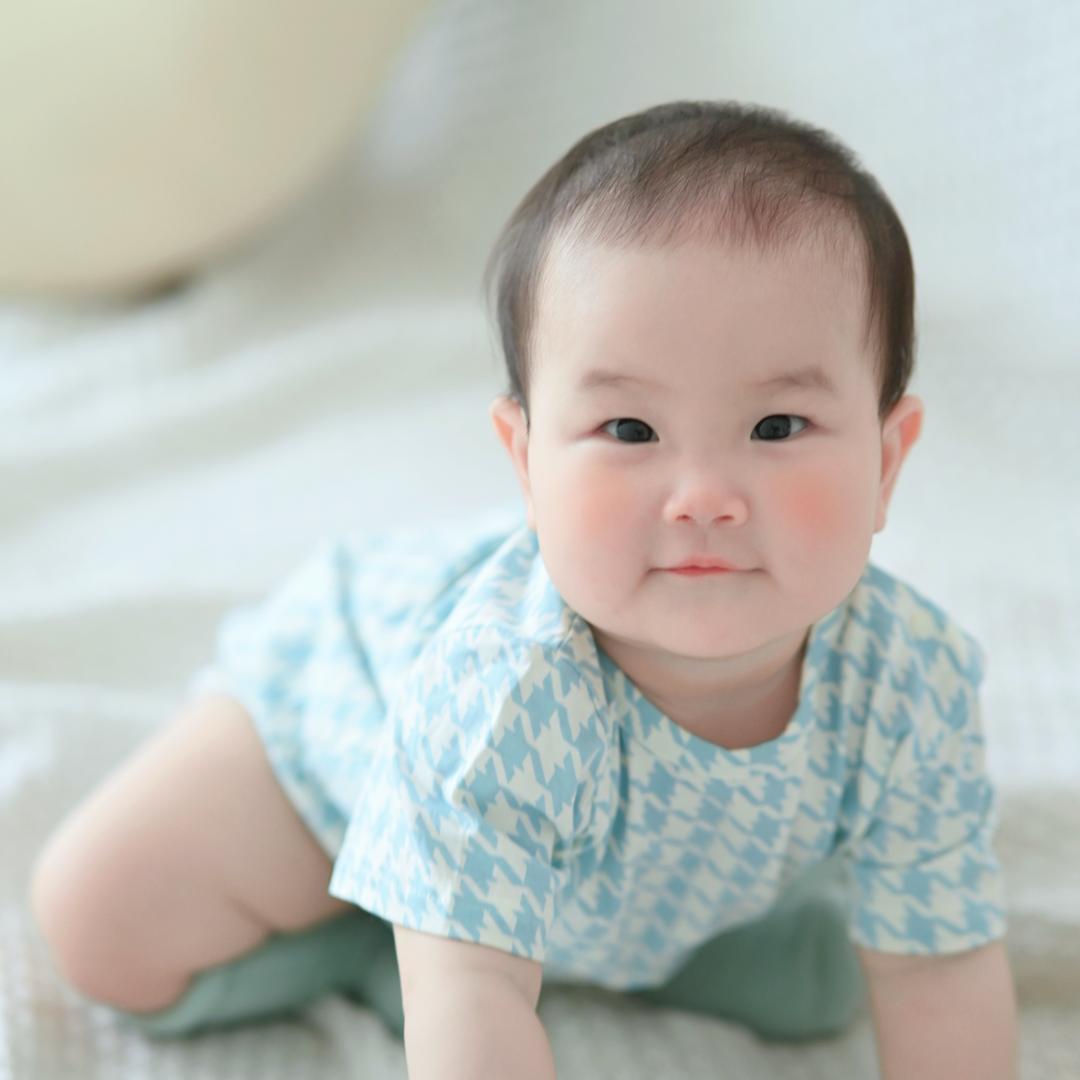 一只小兜兜