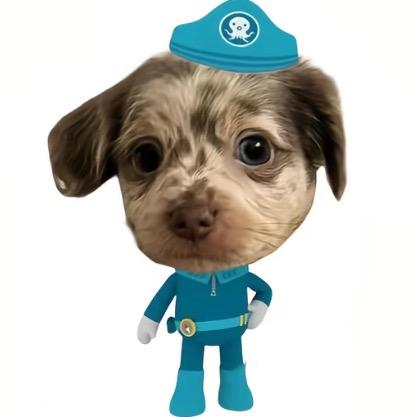 🐈‍⬛‧₊˚⋆♡