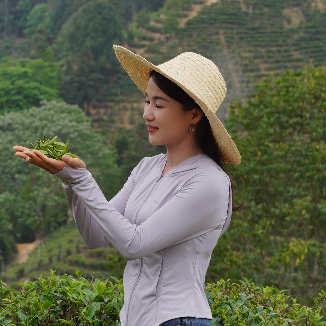 丽丽专注好茶