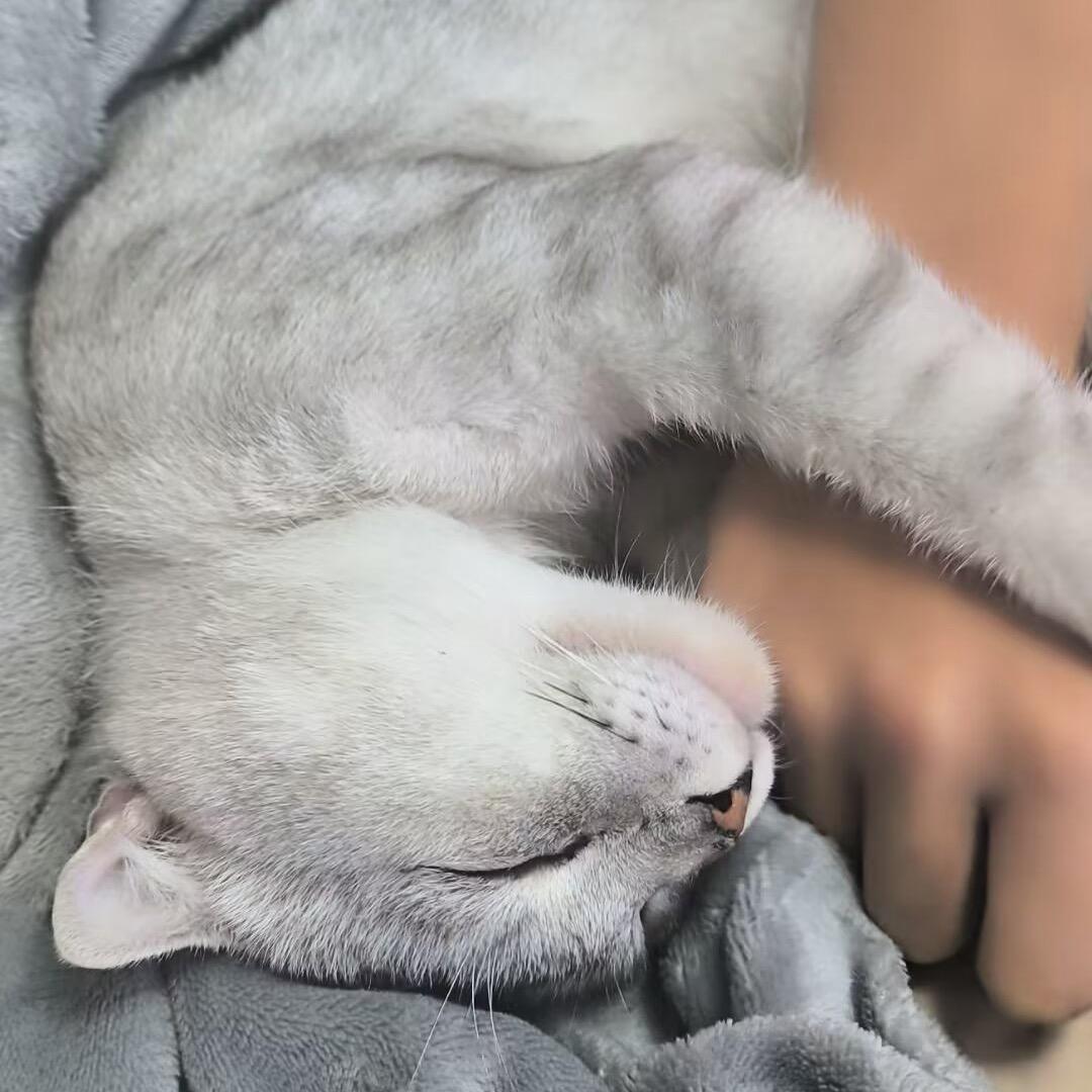 少点悲观情绪