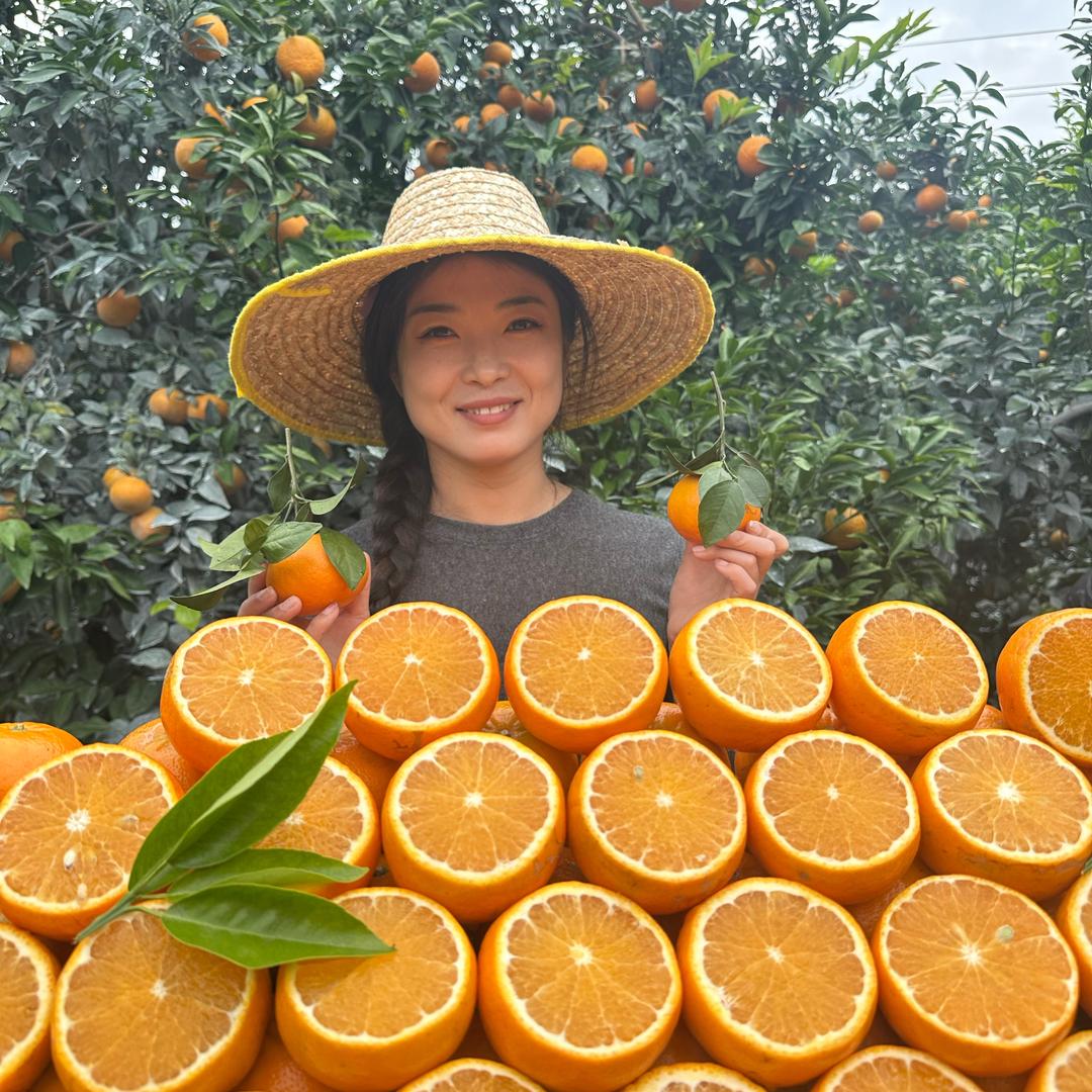 武鸣沃柑鲜果园