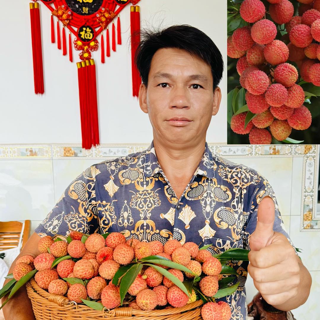 桂平市麻垌圣钧果树种植家庭农场