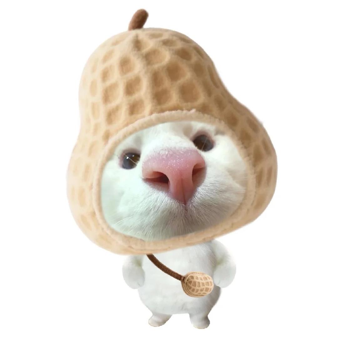 呆呆呆小鑫