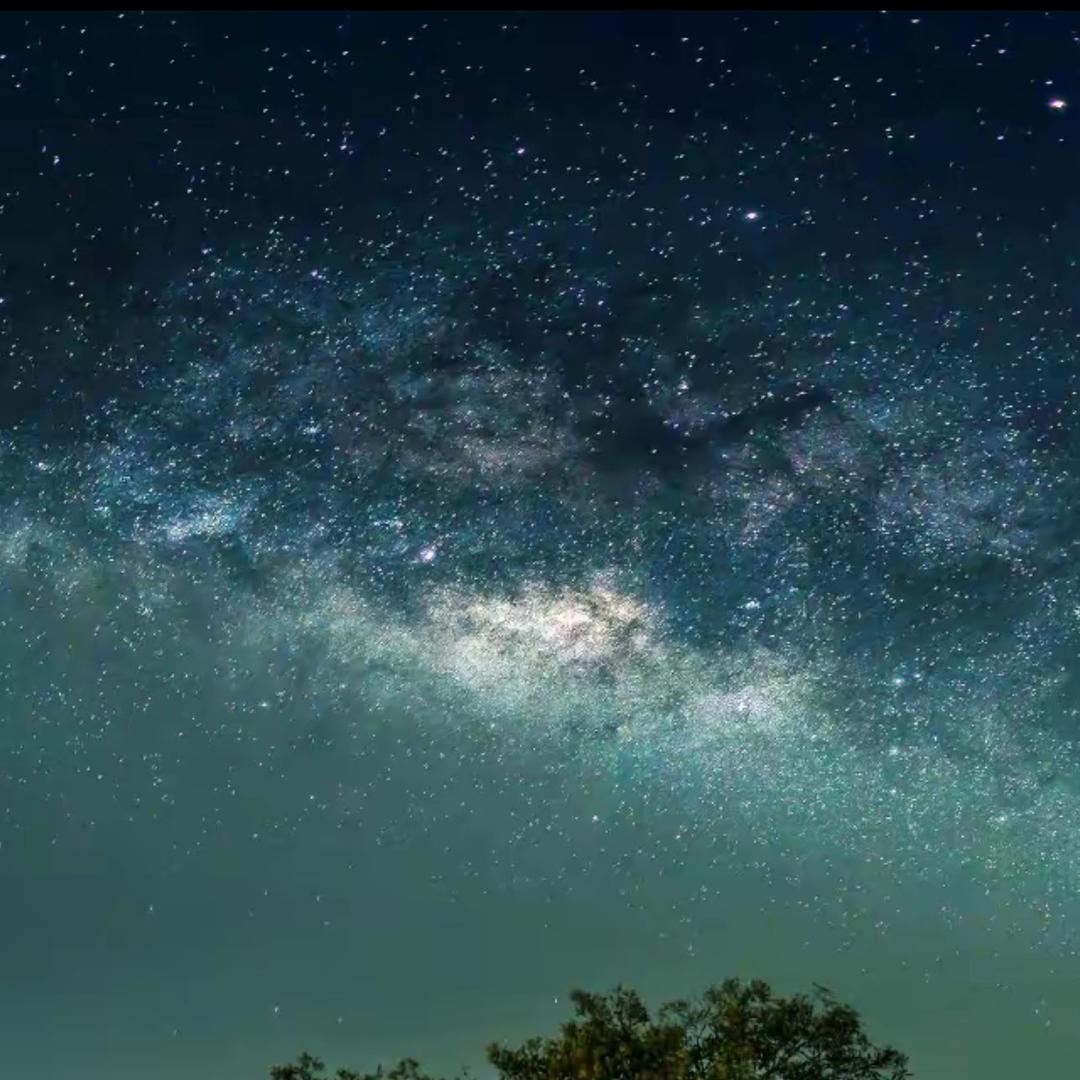 忙里偷闲✨