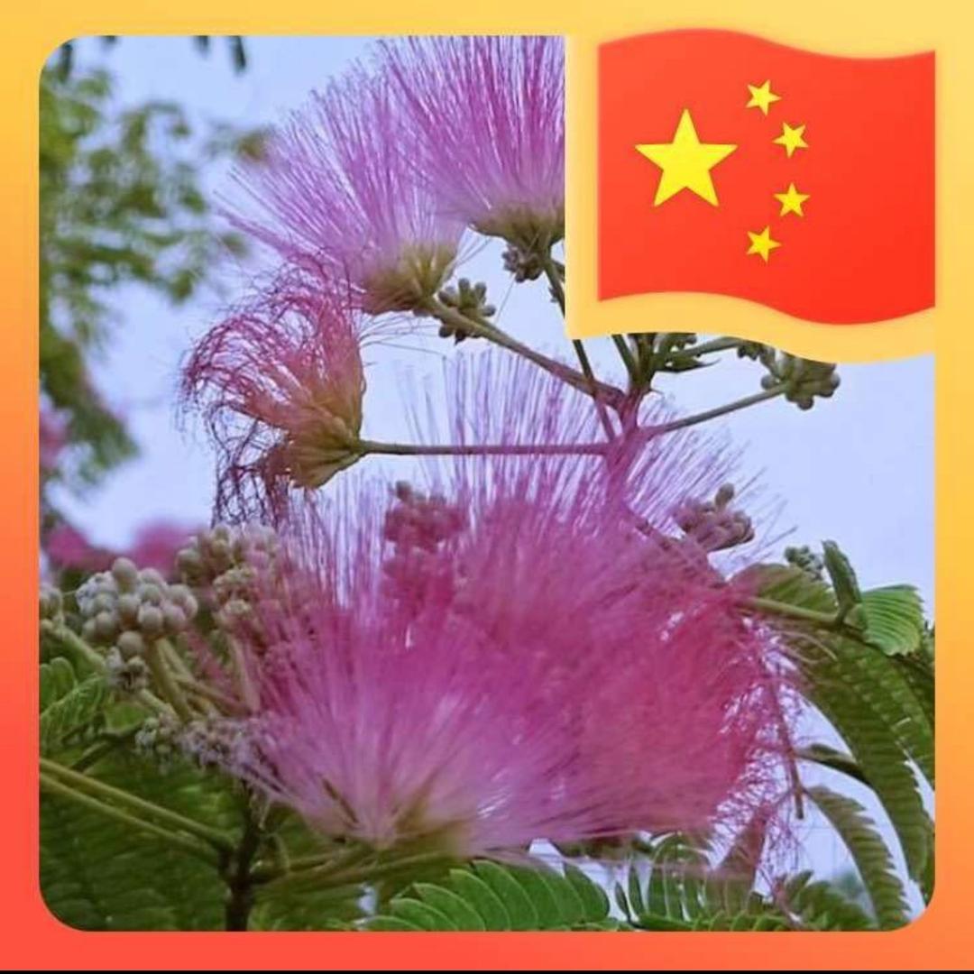 网上飘~ ꫛ᭄沈ꪟ情💞ꦿ气爽ꦿ້໌ᮨ࿐