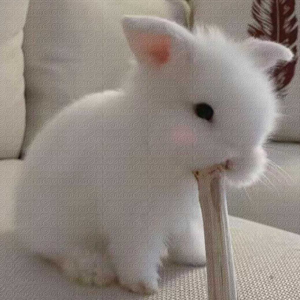好丑一女的