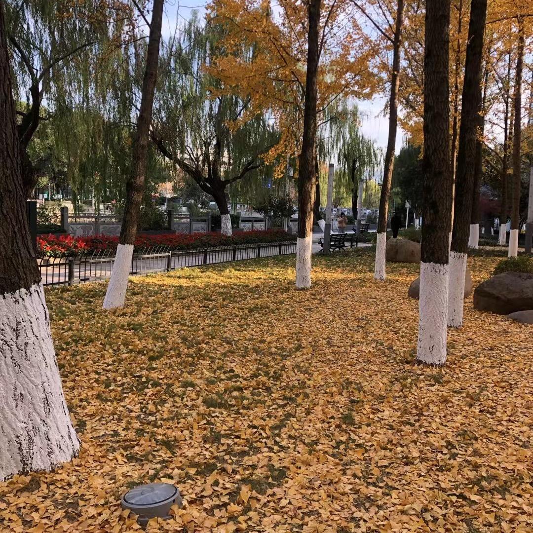 孤独海岛