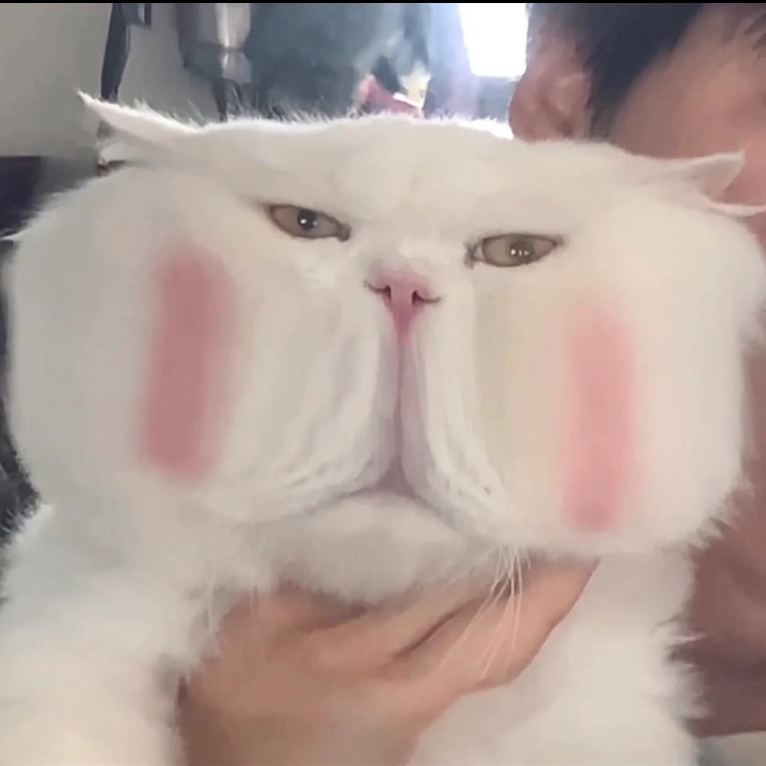 小馒头.