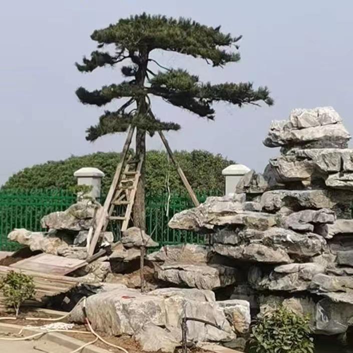 扬子景观（涛先生花卉）