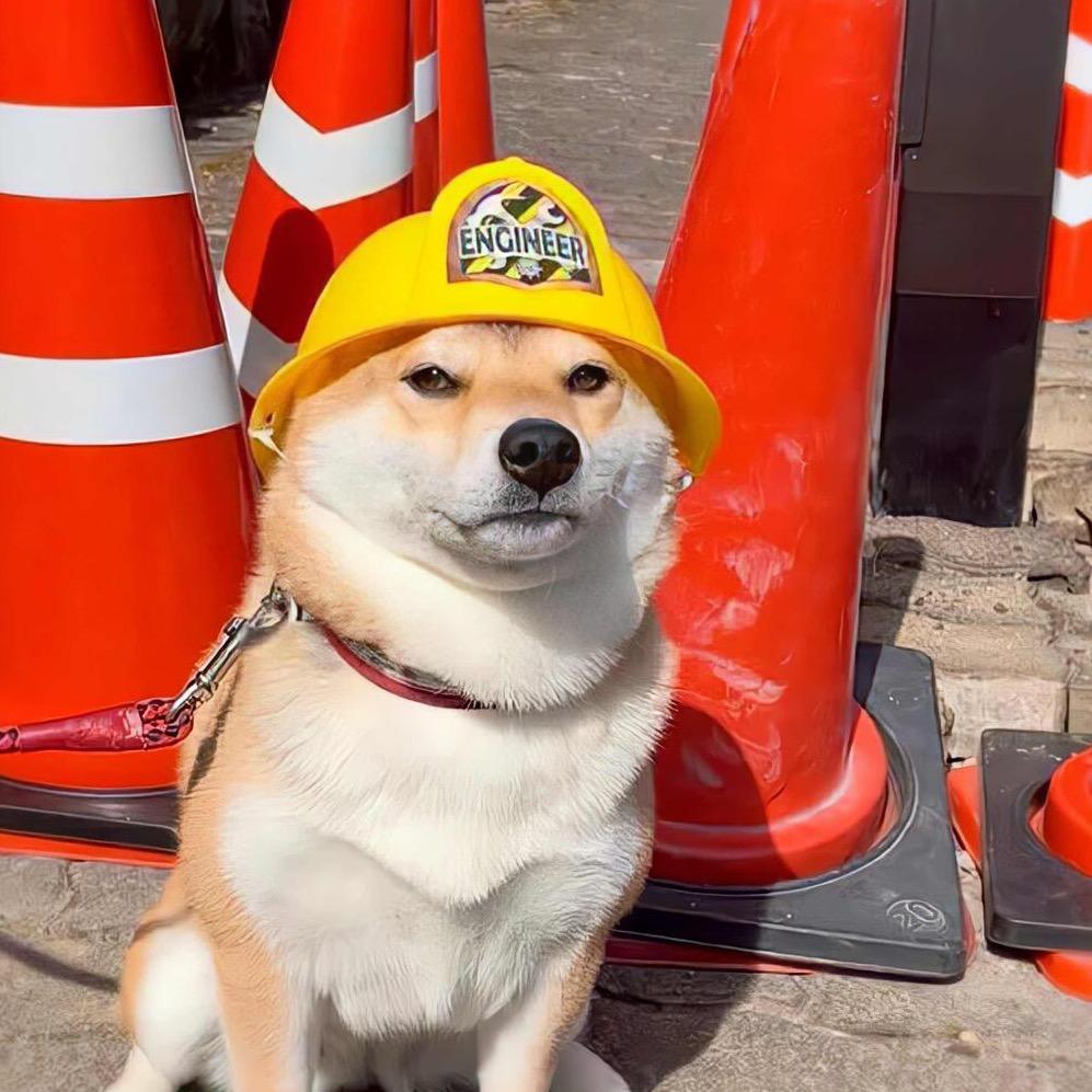 小青年老李