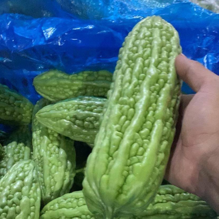 无变刹弟，有关必回，工地弟