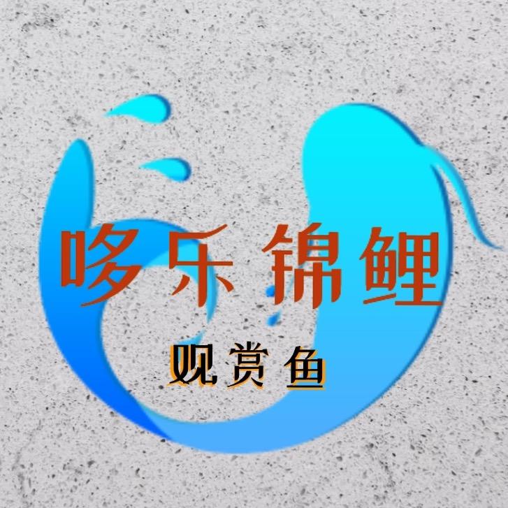 哆乐锦鲤