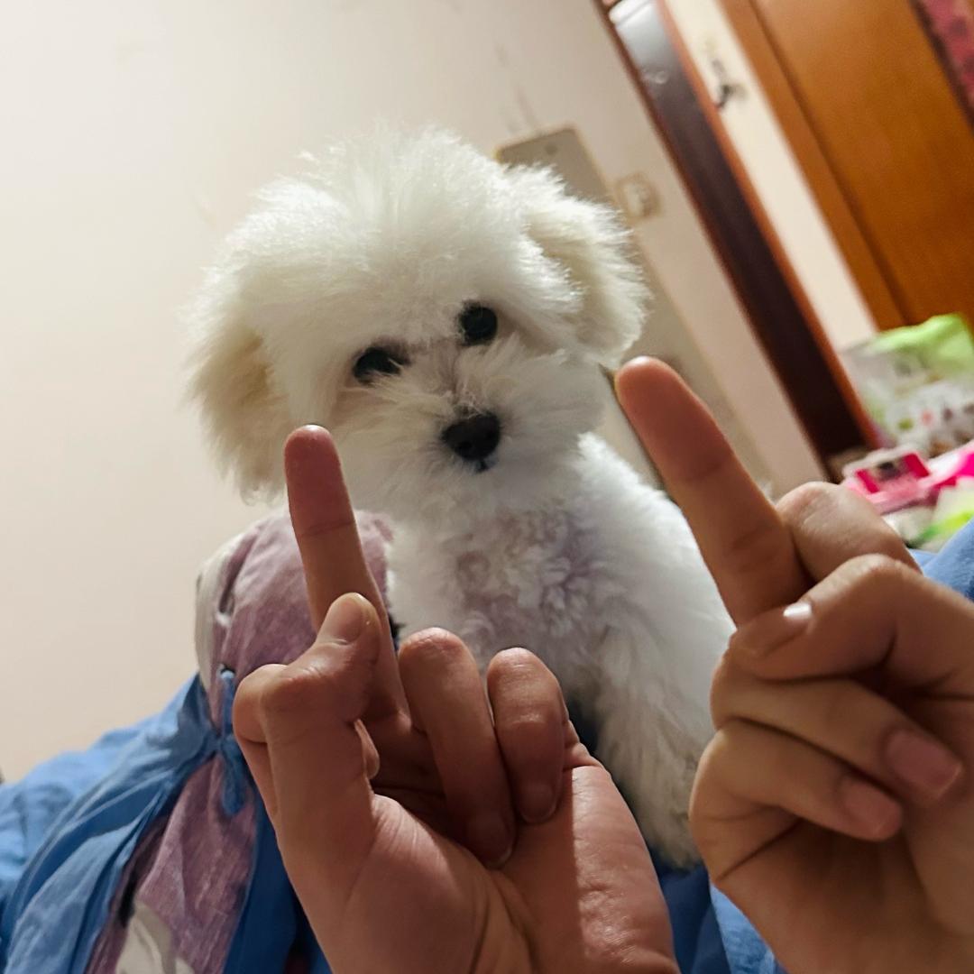 one