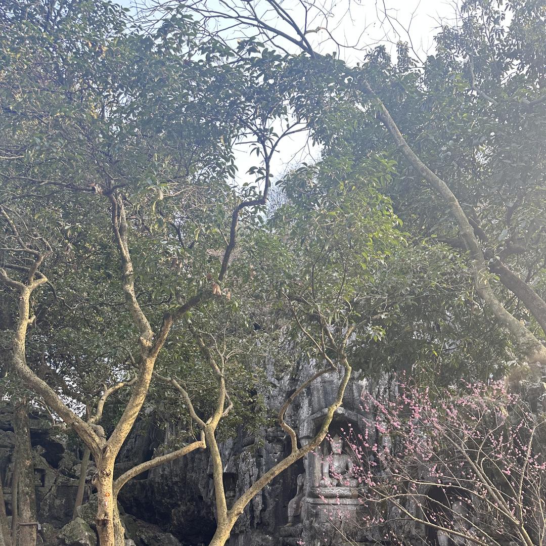 深圳柏宣数码