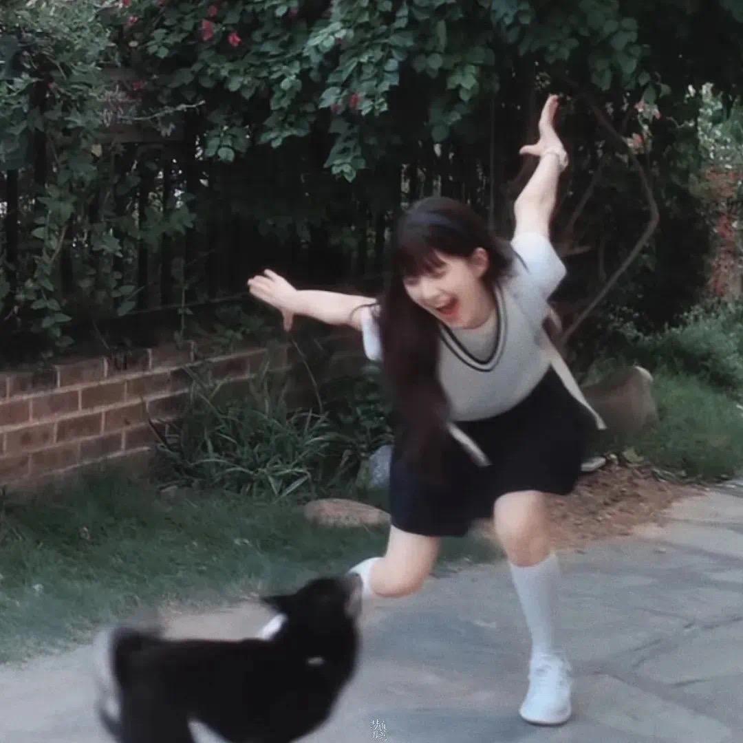 关你什么柿