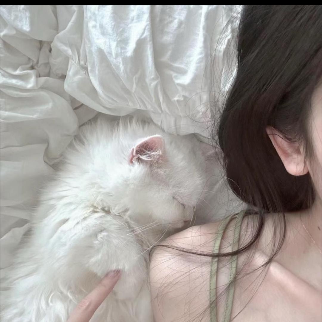 Spoilme7