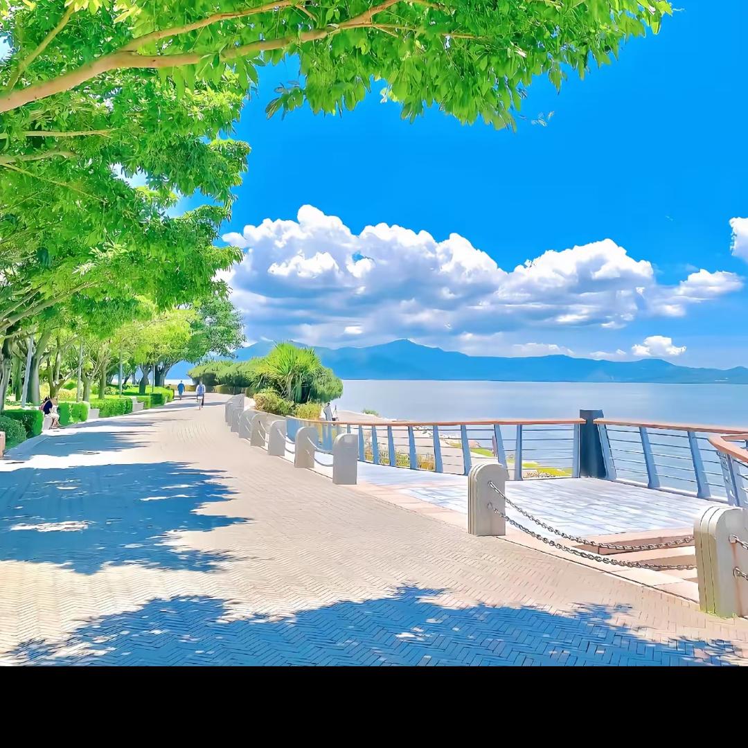 老杨🌈