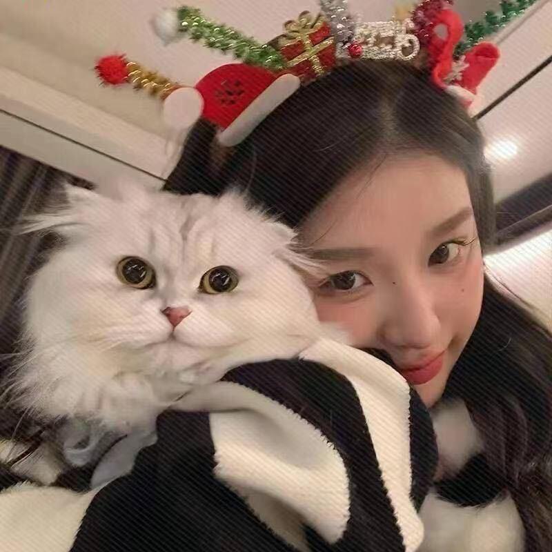 知知（三角洲）