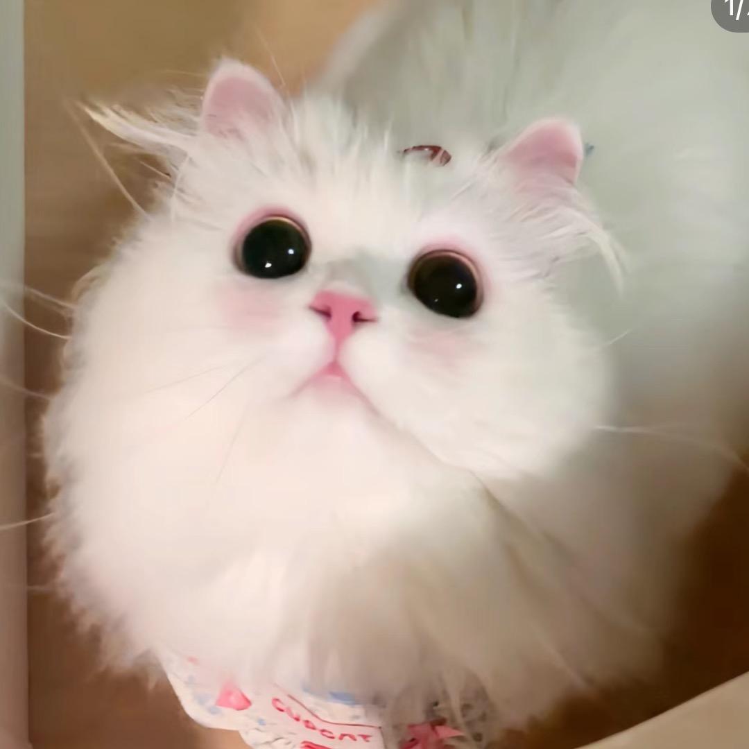 幼幼