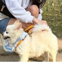 咕噜想变瘦