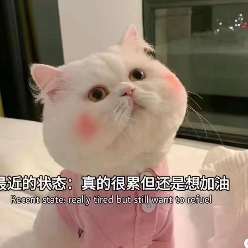 熊猫呀